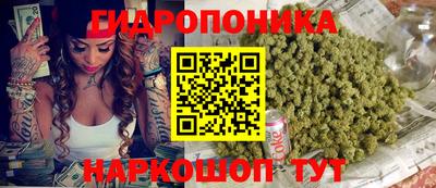 ГАЛЛЮЦИНОГЕННЫЕ ГРИБЫ Будённовск
